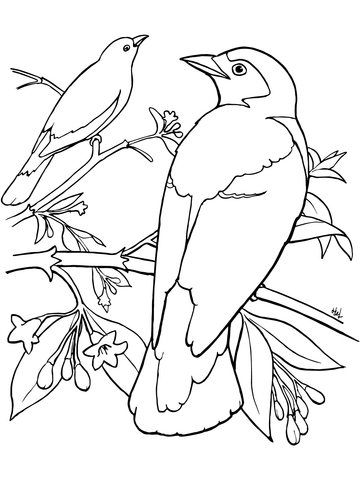 Two Bluebirds Perched On A Tree Coloring Page